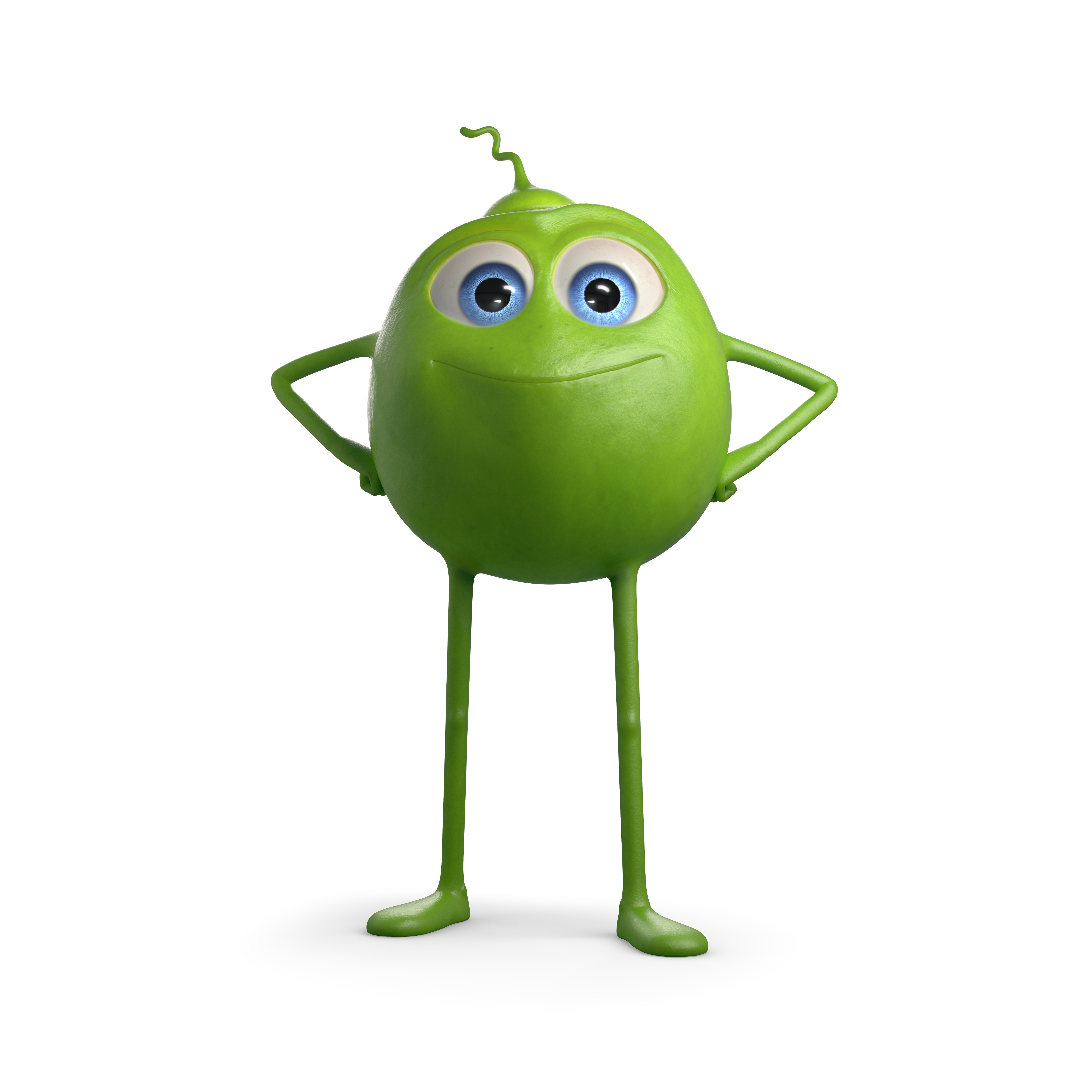 Stolze endori Erbse Stolze endori Erbse